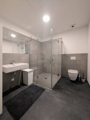 1-Zimmer-Wohnung mit Wohlfühlcharakter – 12489 Berlin – Vorschaubild 5