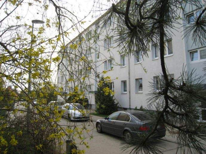Mit Balkon: Günstige 3-Zimmer-Wohnung (frisch renoviert, 1. OG)