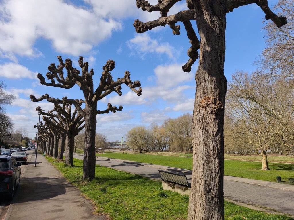 Attraktive 1-Zimmer-Wohnung mit Balkon direkt am Rhein in Köln-Rodenkirchen – Köln – Vorschaubild 3