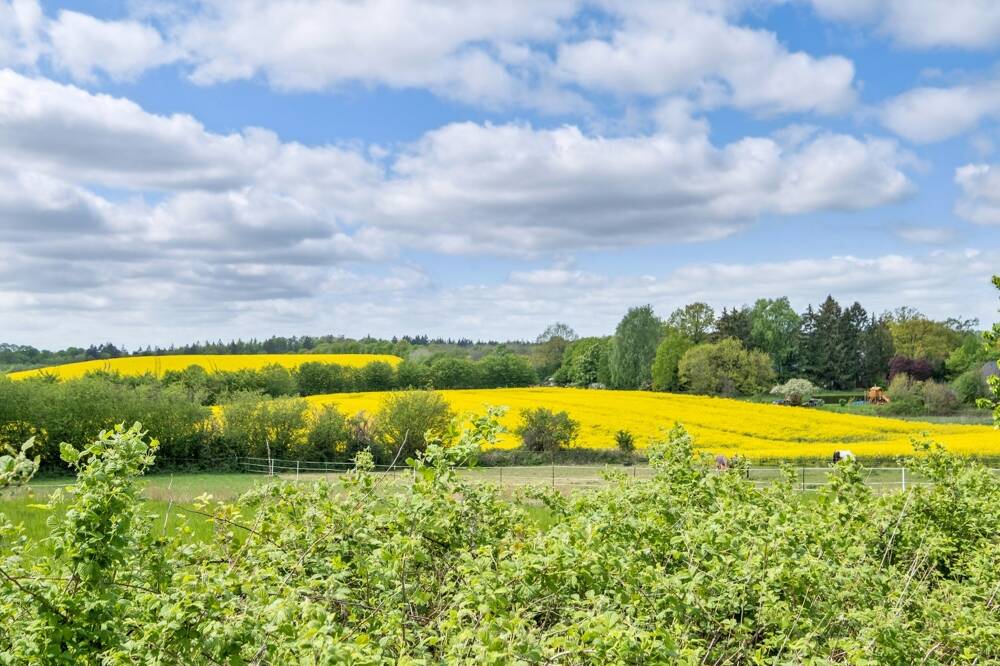 Einzigartige Gelegenheiten Ihre Träume vom Traumhaus auf Traumgrundstück, selbst zu verwirklichen – Schönwalde am Bungsberg – Vorschaubild 6