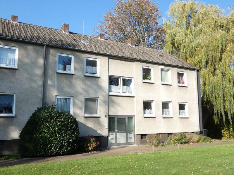Die perfekte Single-Wohnung in ruhiger Lage *komplett modernisiert*