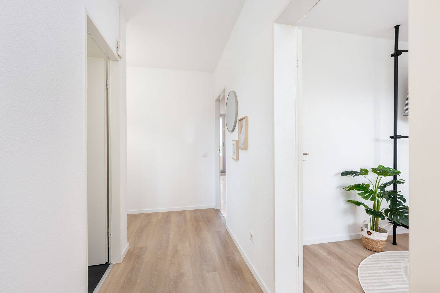 Bezugsfrei | Sonnige 3-Zimmer-Wohnung mit Süd-Balkon, Aufzug & TG -Licht, Lage, Lebensfreude – Köln – Vorschaubild 9