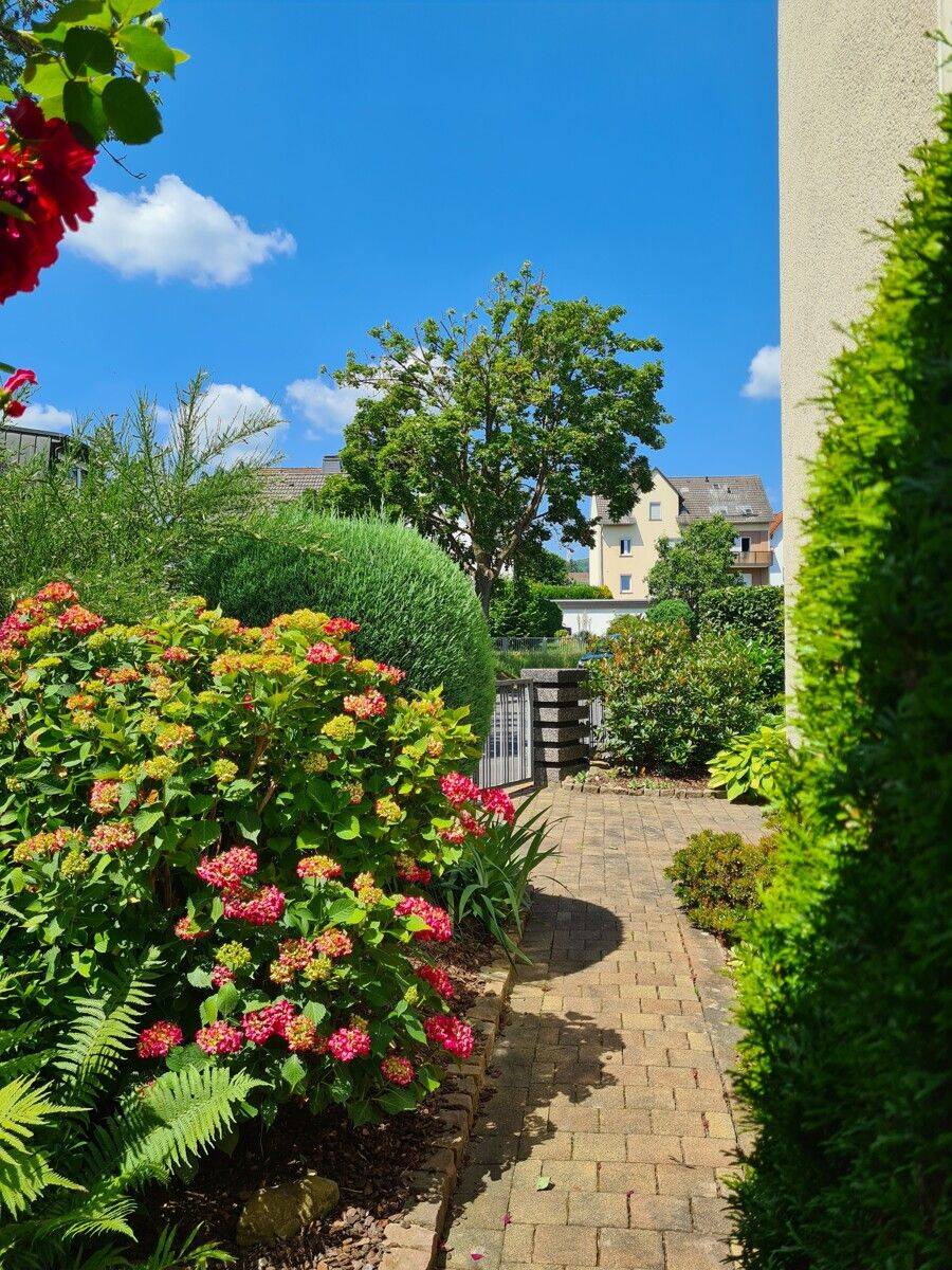 Wunderbares Wohnhaus mit vielen Möglichkeiten! Mit sonnigem Wintergarten und Balkon! – Kassel – Vorschaubild 4