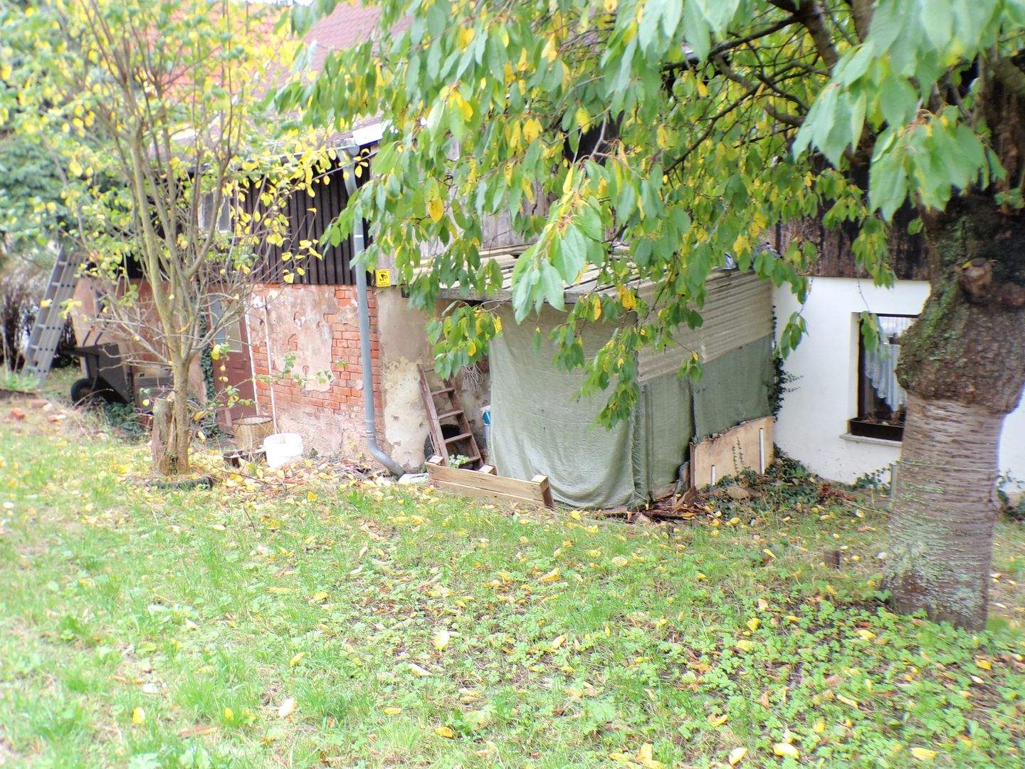 Fachwerkhaus zum sanieren mit Grundstück in Steinpleis zu verkaufen! – Werdau – Vorschaubild 3