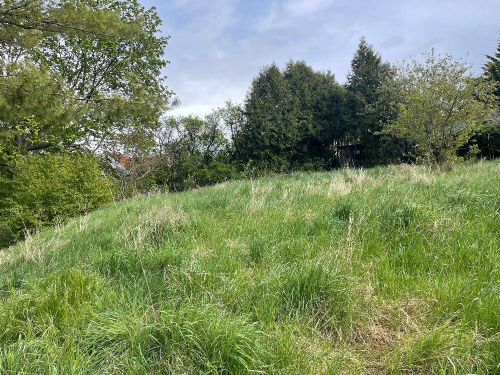 Ein Haus bei dem weniger wirklich mehr ist - Fläche optimal nutzen in Waltersleben – Erfurt – Vorschaubild 4
