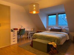 2,5 Zimmerwohnung direkt am Main mit Festungsblick – 97070 Würzburg – Vorschaubild 2