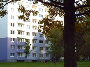 #2 Zimmer mit neuem Badezimmer für sofort# – 44319 Dortmund – Vorschaubild 3