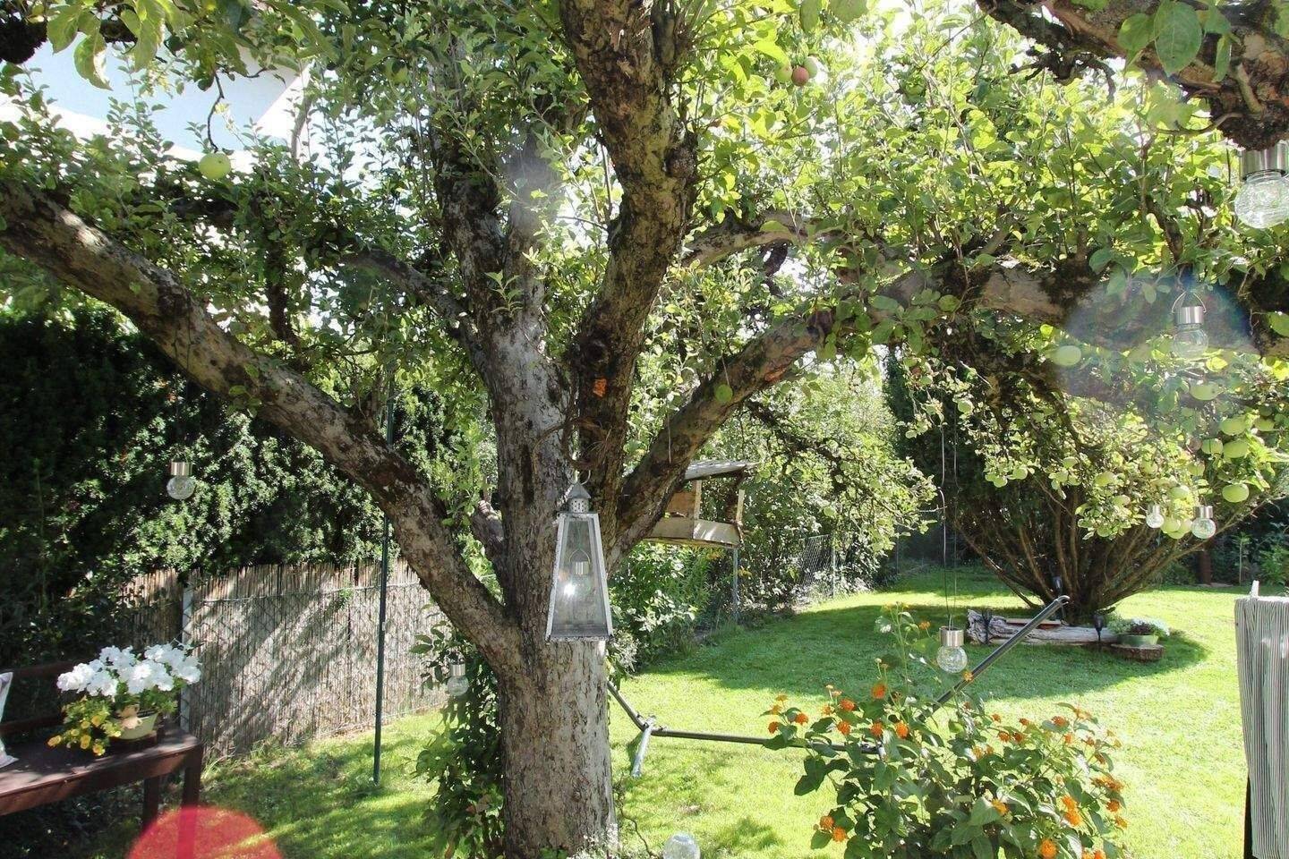 Einfamilienhaus mit großem Garten in Nürnberg - Heilsbronner Straße 57 – Nürnberg – Vorschaubild 6