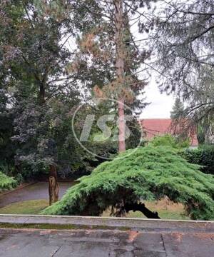 VERKAUF 150.000 € - Helle 1-Zimmer-Eigentumswohnung - Leerstand – 53179 Bonn – Vorschaubild 4