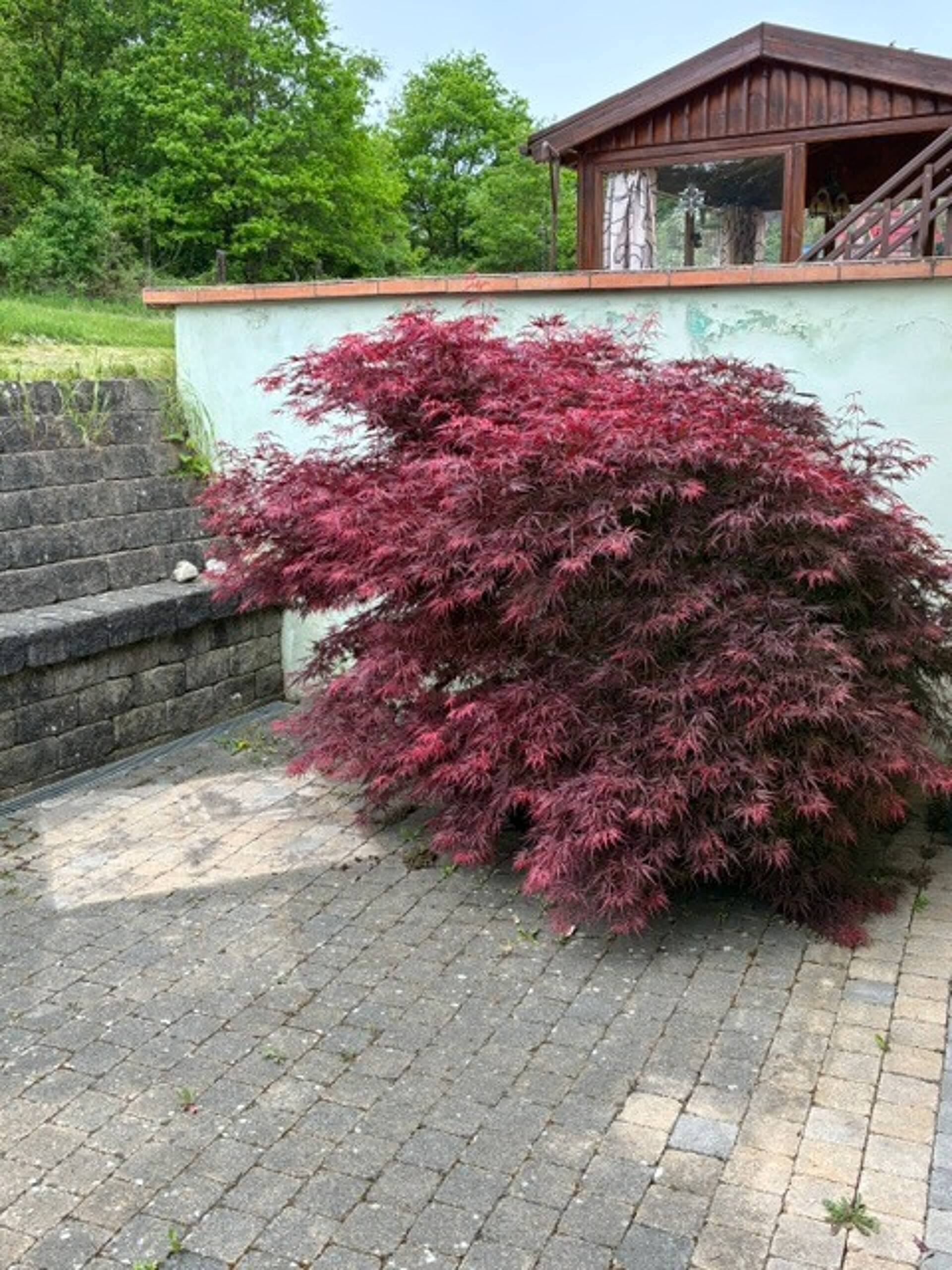 Mehrfamilienhaus in 66333 Völklingen mit 200 m² kaufen