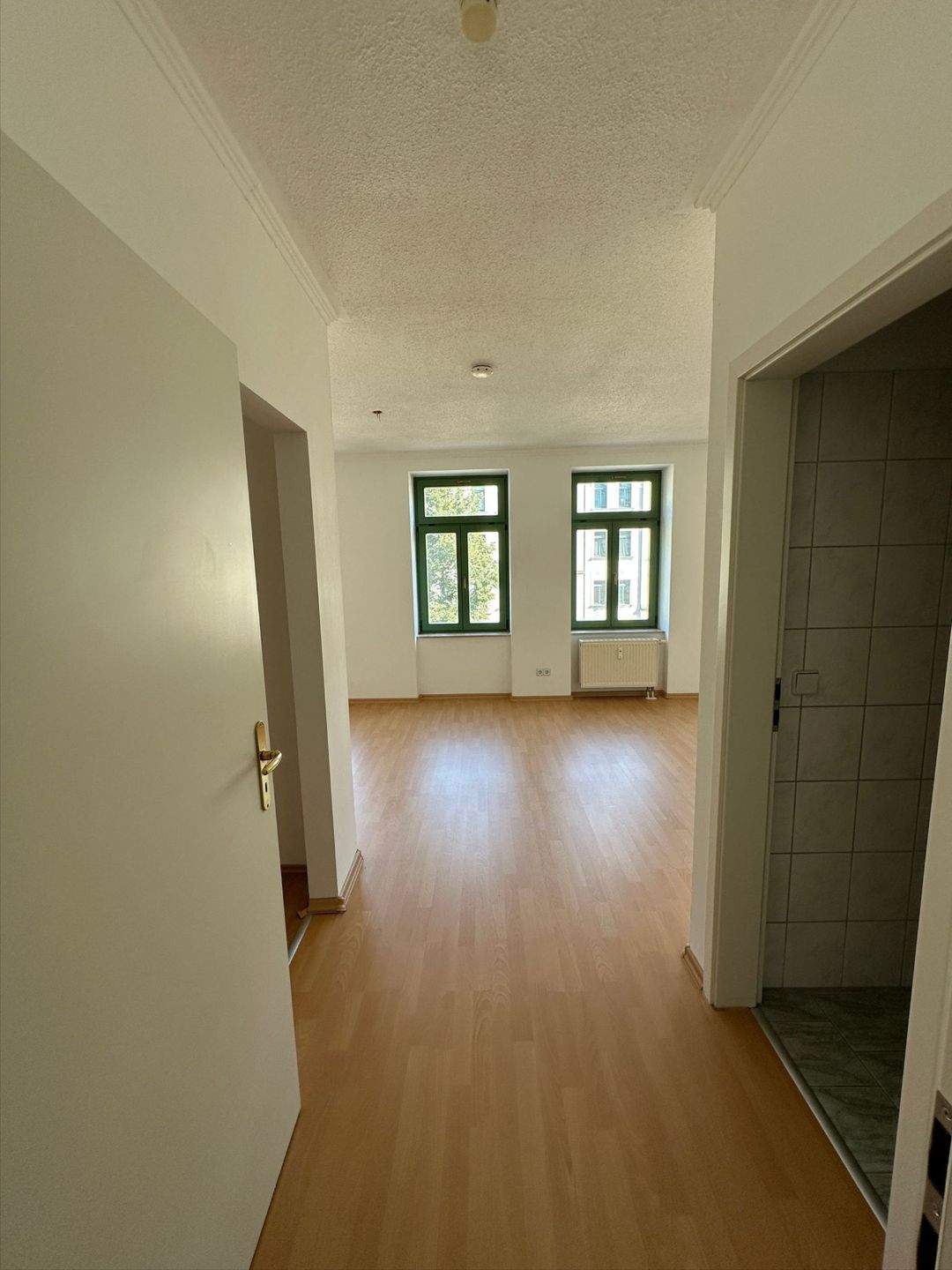 Gemütliche 1-Raum Wohnung - Ruhige Lage! – Chemnitz – Vorschaubild 3