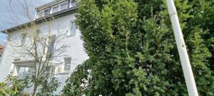 Berlin Kladow mit zwei Wohneinheiten und eigener Gartenfläche attraktive Kapitalanlage – 14089 Berlin – Vorschaubild 2