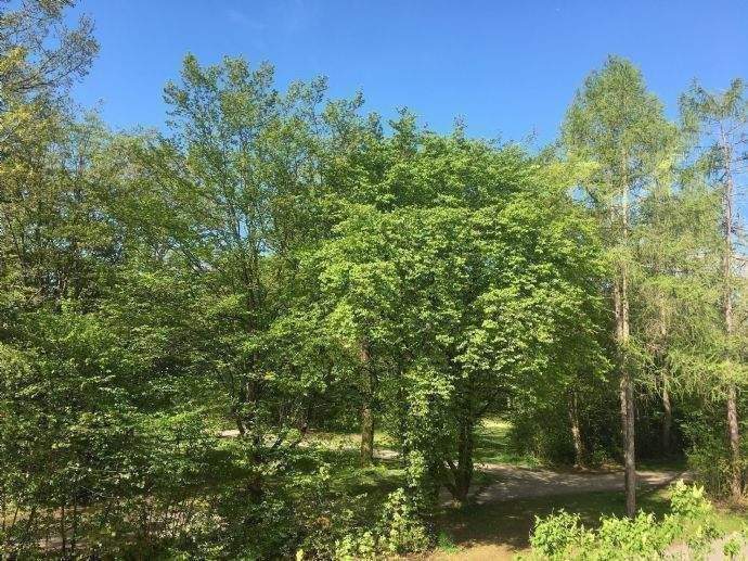 Helle, ruhige 3-Zi-Wohnung im 1.OG mit EBK, 2 Bäder und 2 große Balkone! Direkt am Park! – München – Vorschaubild 7