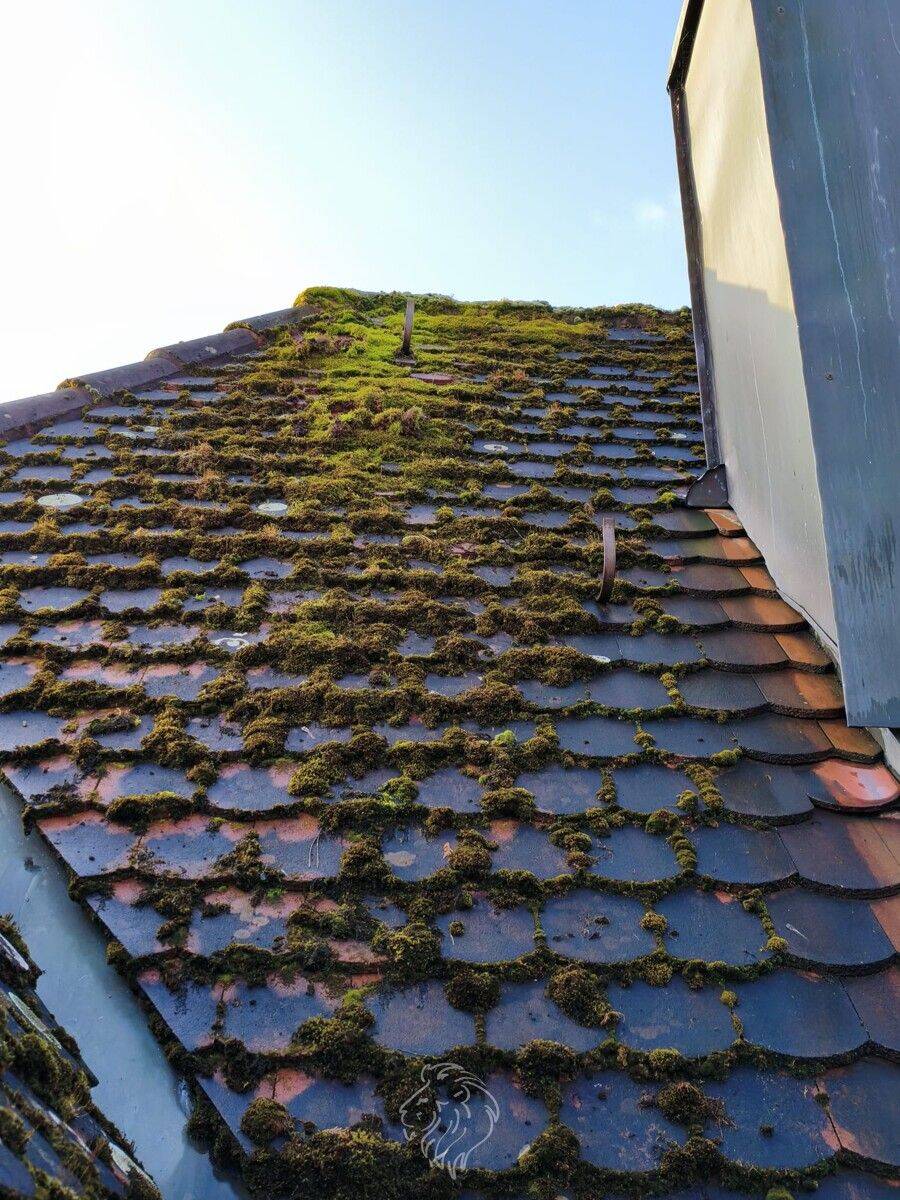 Charmante 3-Zimmer-Eigentumswohnung mit großer Terrasse & Altbauflair – Würzburg – Vorschaubild 7