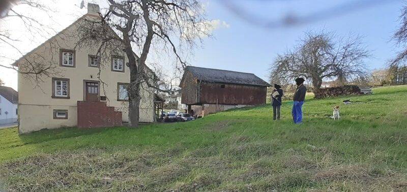Doppelhaushälfte in einem ehemaligen Bauernhaus mit Scheunenhaus und reichlich Ausbaupotenzial mit herrlichem Grundstück – Blieskastel – Vorschaubild 7