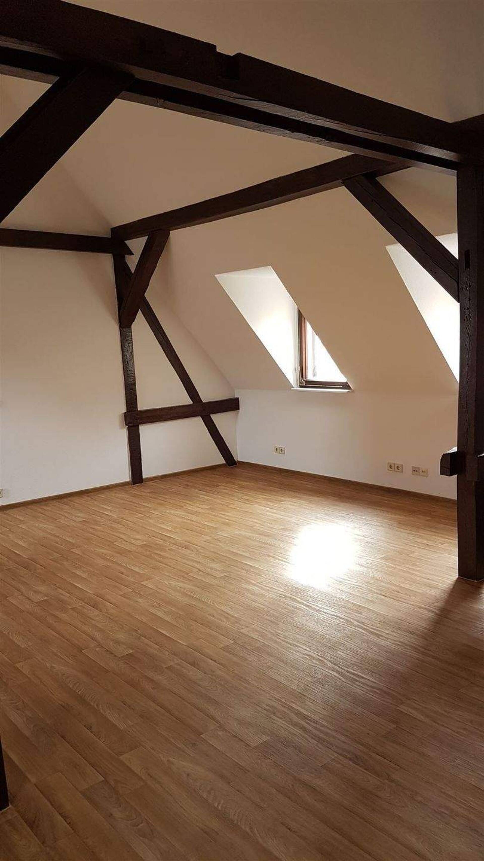 Mehrfamilienhaus in 04860 Torgau mit 367 m² kaufen