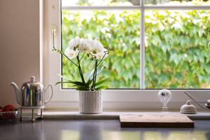 Licht, Raum und Lebensqualität - besondere Doppelhaushälfte mit Atelier und Gartenidylle – 51067 Köln – Vorschaubild 5
