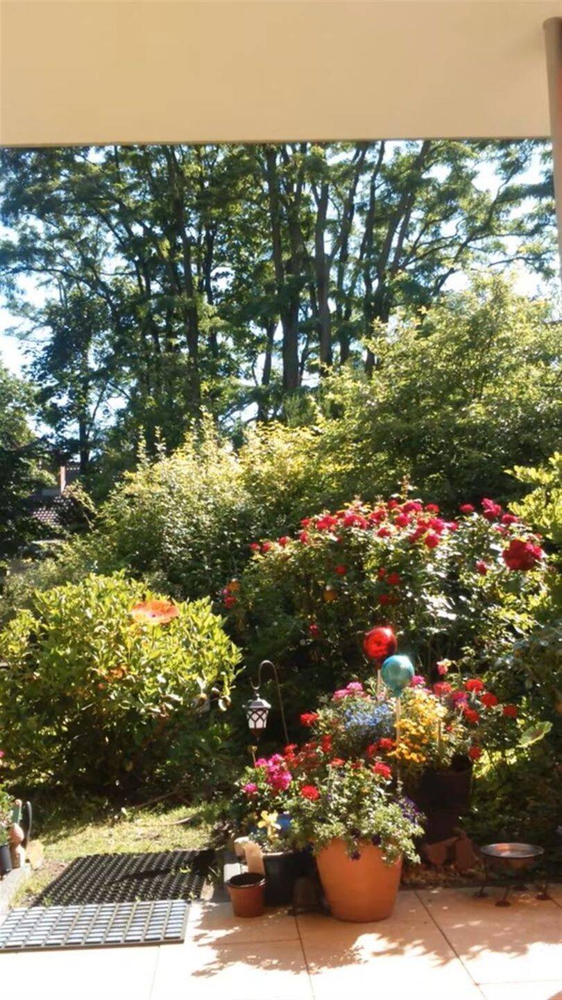 ** 4-Zimmer-Gartenwohnung zum Selbstbezug in Bestlage Westend ** – Berlin – Vorschaubild 2