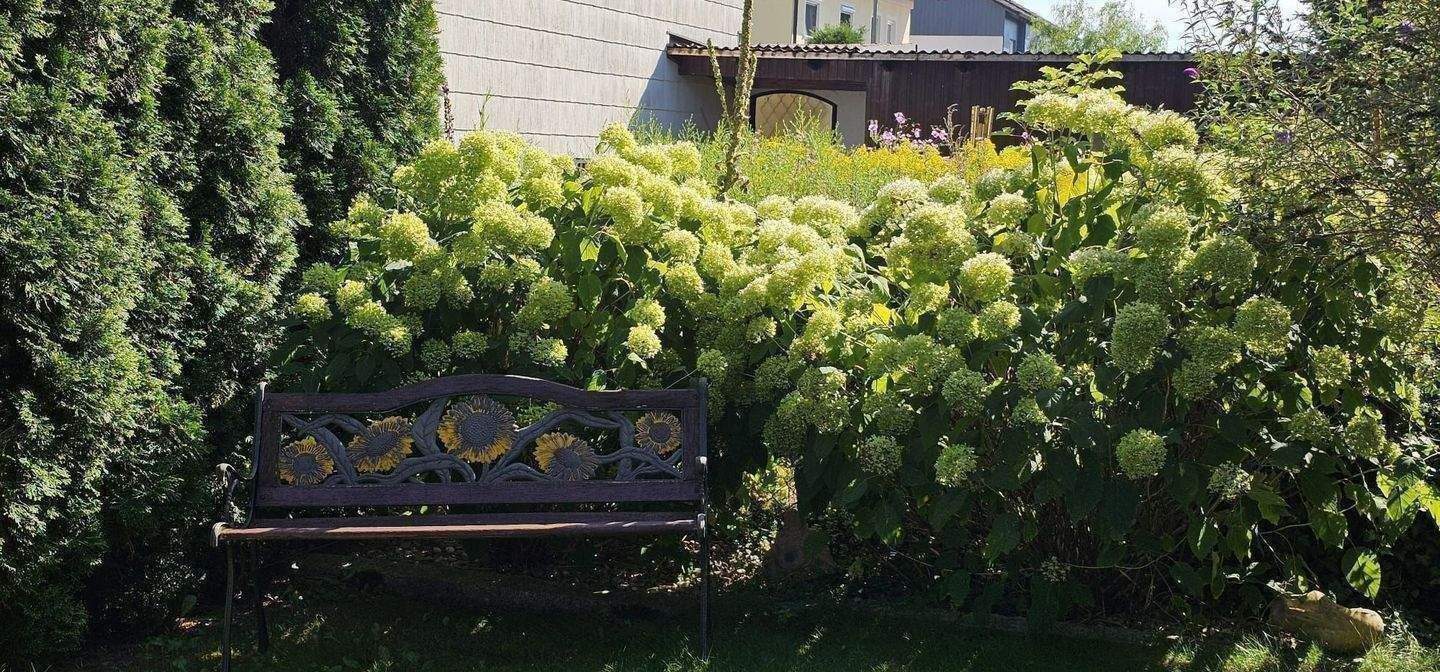 modernes Einfamilienhaus in ruhiger Lage in Forstinning – Aßling – Vorschaubild 8