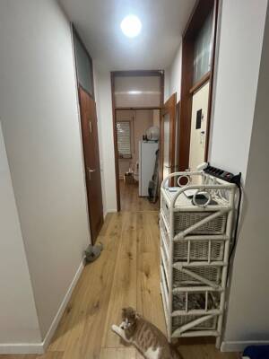 WG-Zimmer zu vermieten – 65185 Wiesbaden – Vorschaubild 5