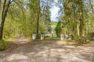 Traumanwesen im eigenen Tal: 2 Häuser, 33.000m² Wald & absolute Alleinlage in Jena – 7745 Jena – Vorschaubild 4