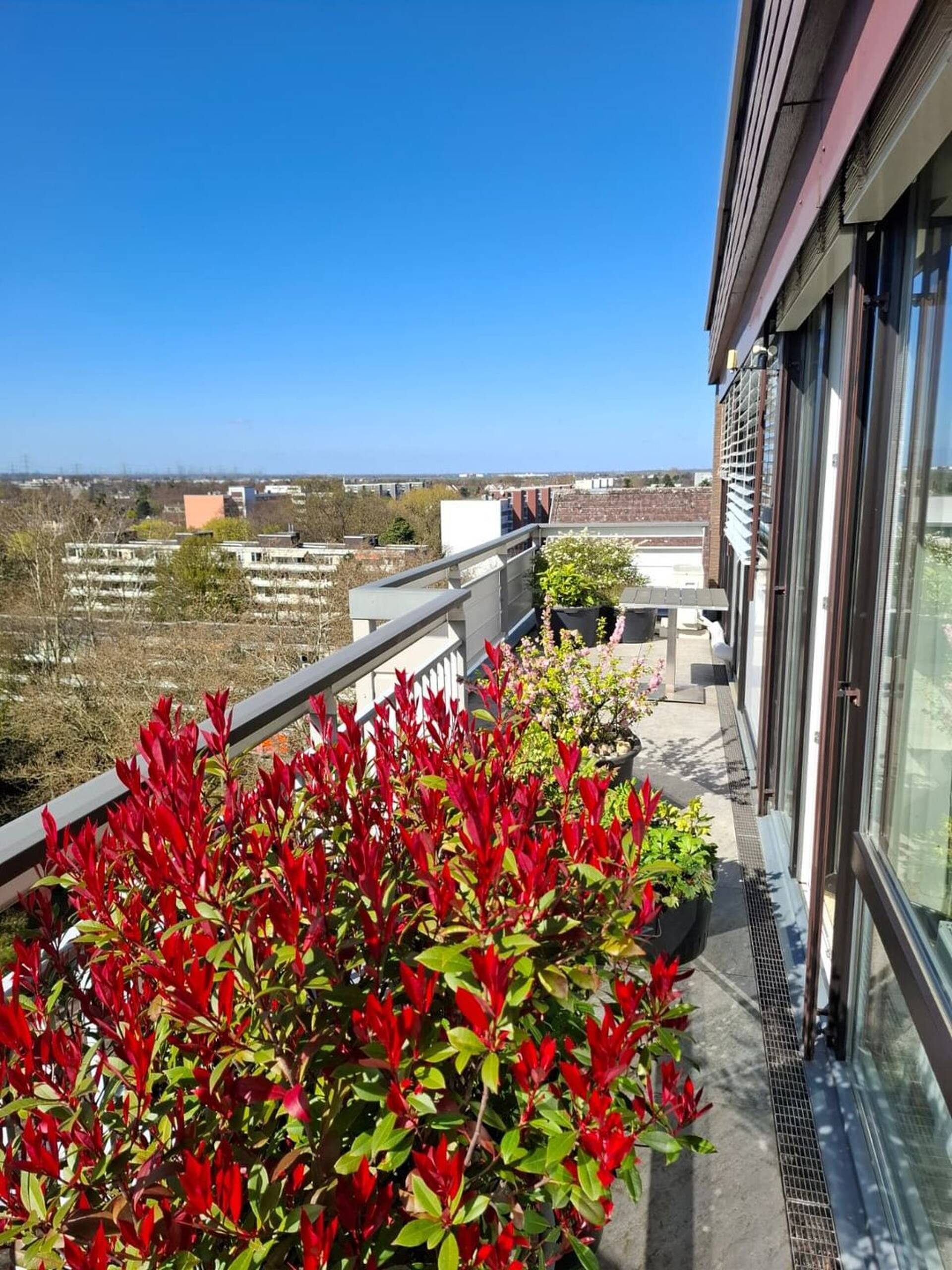 Penthouse in 50858 Köln mit 131 m² kaufen