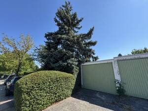 Bungalow mit sonnigem Garten und Garage – 55127 Mainz – Vorschaubild 7
