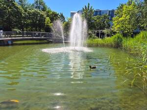 Wohlfühl-Atmosphäre in Bogenhausen-O´Föhring - charmante 2 Zi ETW mit Westbalkon in grüner Lage