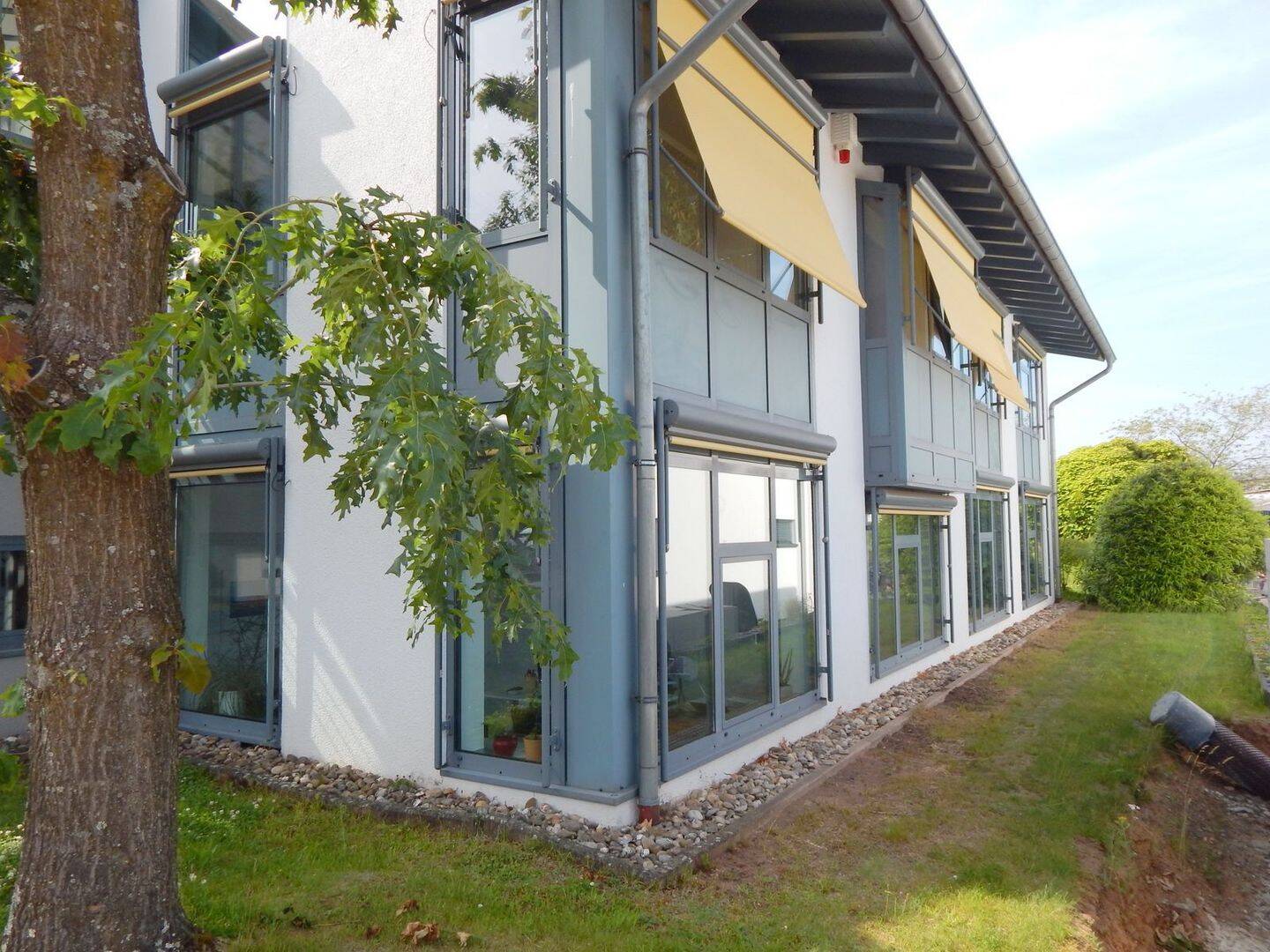 *RESERVIERT*Vielseitiges Gebäude am Ortsrand von Niederlosheim gelegen mit großem Grundstück! – Losheim am See – Vorschaubild 2