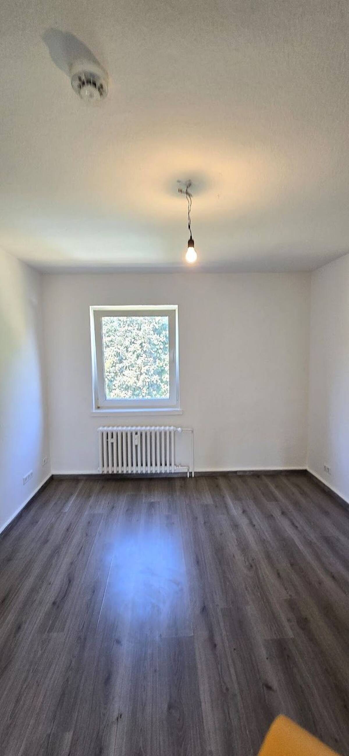 Sanierte 2 Zimmer Wohnung in Gelsenkirchen zu vermieten – 45899 Gelsenkirchen – Bild 1 von 8