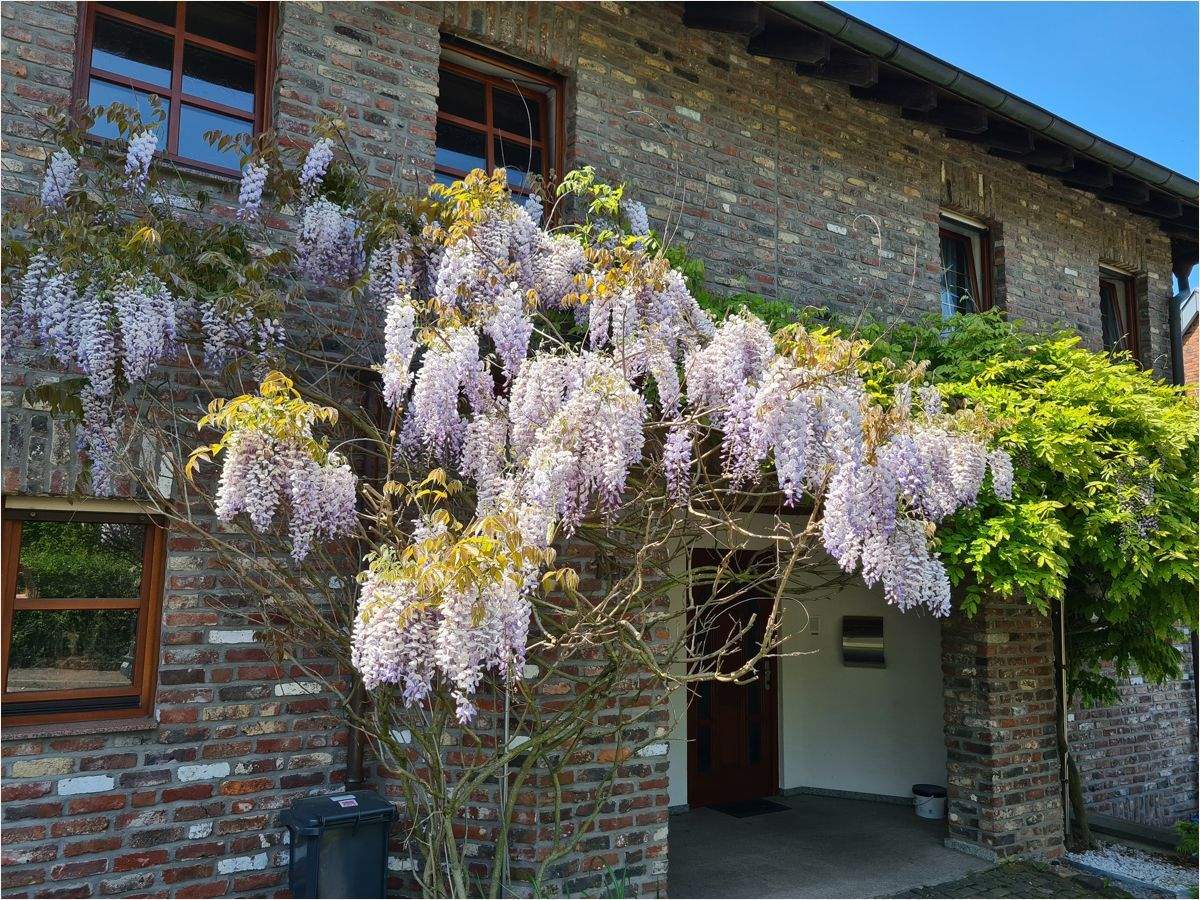 !! Das Haus für die große Familie – Stolberg – Bild 1 von 9
