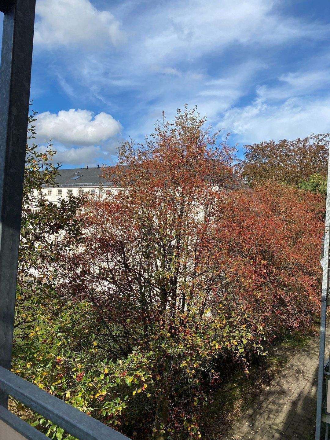 +++++2-Raum-WE im beliebten Wohngebiet Chemnitz/ HEIMGARTEN+++++ +++++ – Chemnitz – Vorschaubild 4