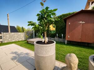 Attraktive Erdgeschosswohnung mit Garten in Lenting incl. TG-Stellplatz – 85101 Lenting – Vorschaubild 6