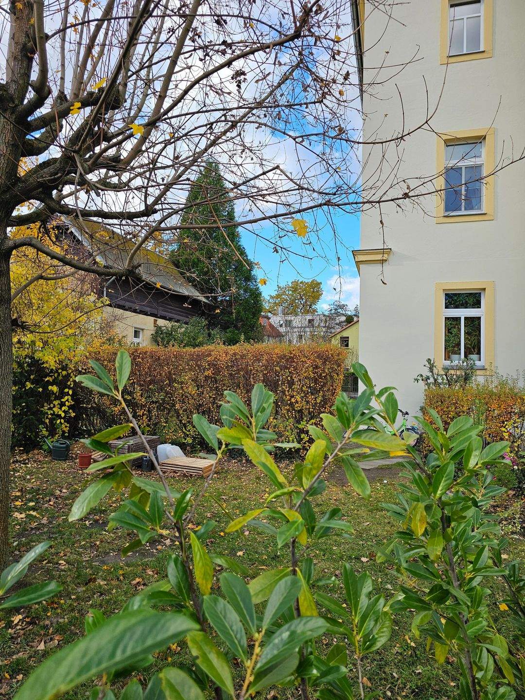 gepflegte 2 Raum Wohnung in bester Lage Dresden-Blasewitz RESERVIERT ! – Dresden – Vorschaubild 8