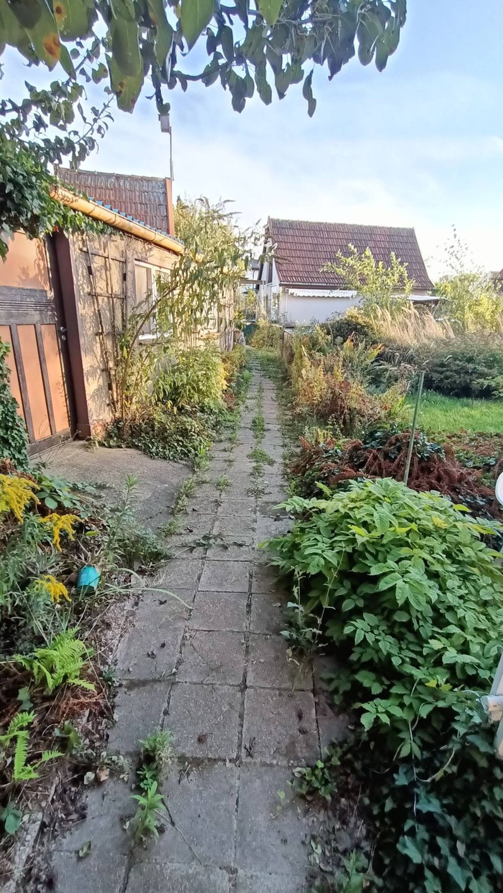 Haus in 08066 Zwickau mit 80 m² kaufen