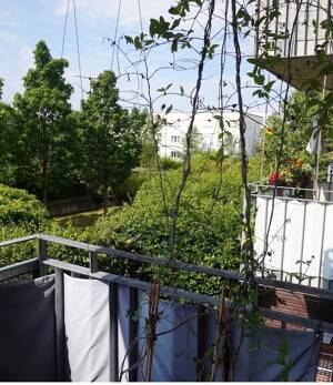 Von Privat - Vermietete 2,5-Zimmer-Wohnung mit Südwestbalkon, Grünblick & TG-Stellplatz in München-Riem – 81829 München – Vorschaubild 5