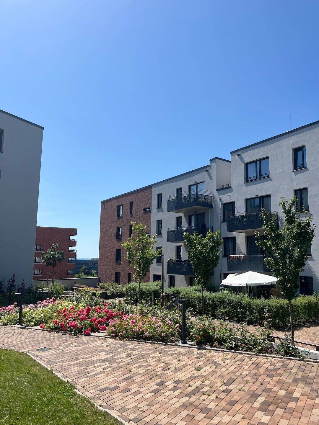 Schöne 2 Zimmer-Wohnung in Kronsrode sucht neue Mieter!
