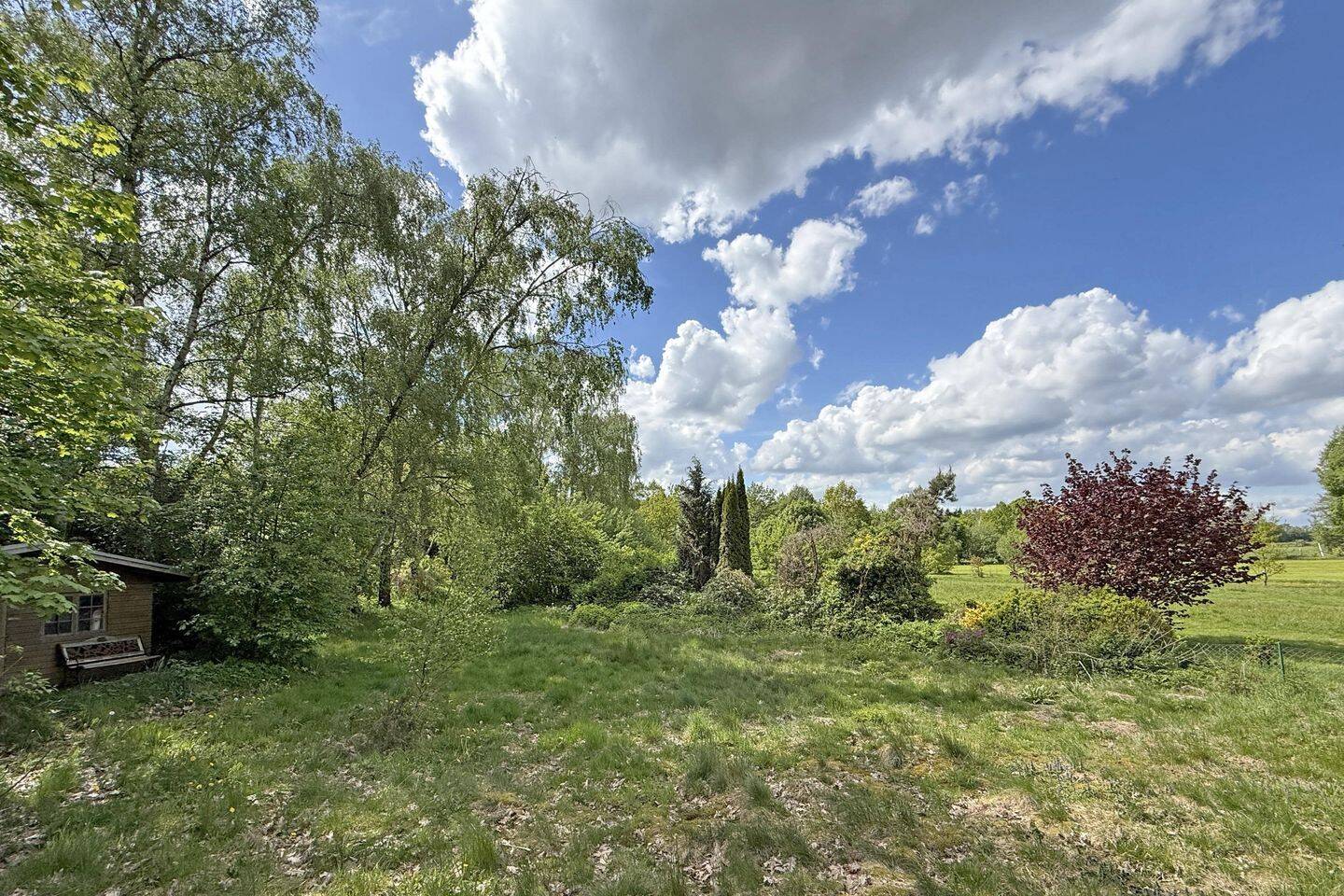 Bungalow auf Grundstückstraum mit Luhe Anschluss! – Winsen (Luhe) – Vorschaubild 8
