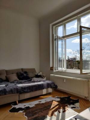 seltene Gelegenheit! wohnen in sonniger & ruhiger Lage am grossen Garten-EBK möglich ! – 1309 Dresden – Vorschaubild 4