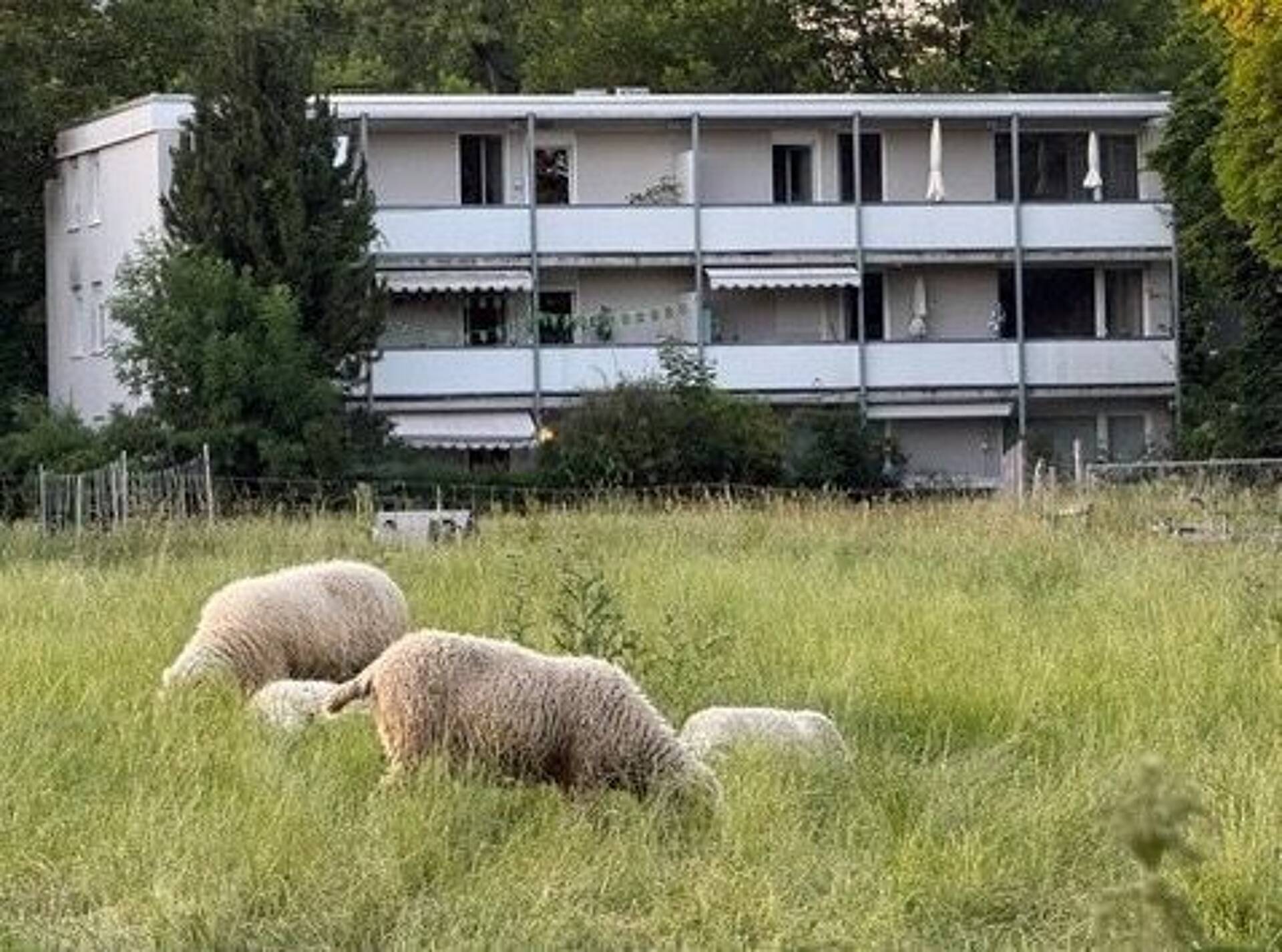Etagenwohnung in 81927 München mit 110 m² kaufen