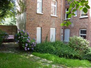 Gemütliche Singlewohnung in zentraler Wohnlage zu vermieten! – 45127 Essen – Vorschaubild 2