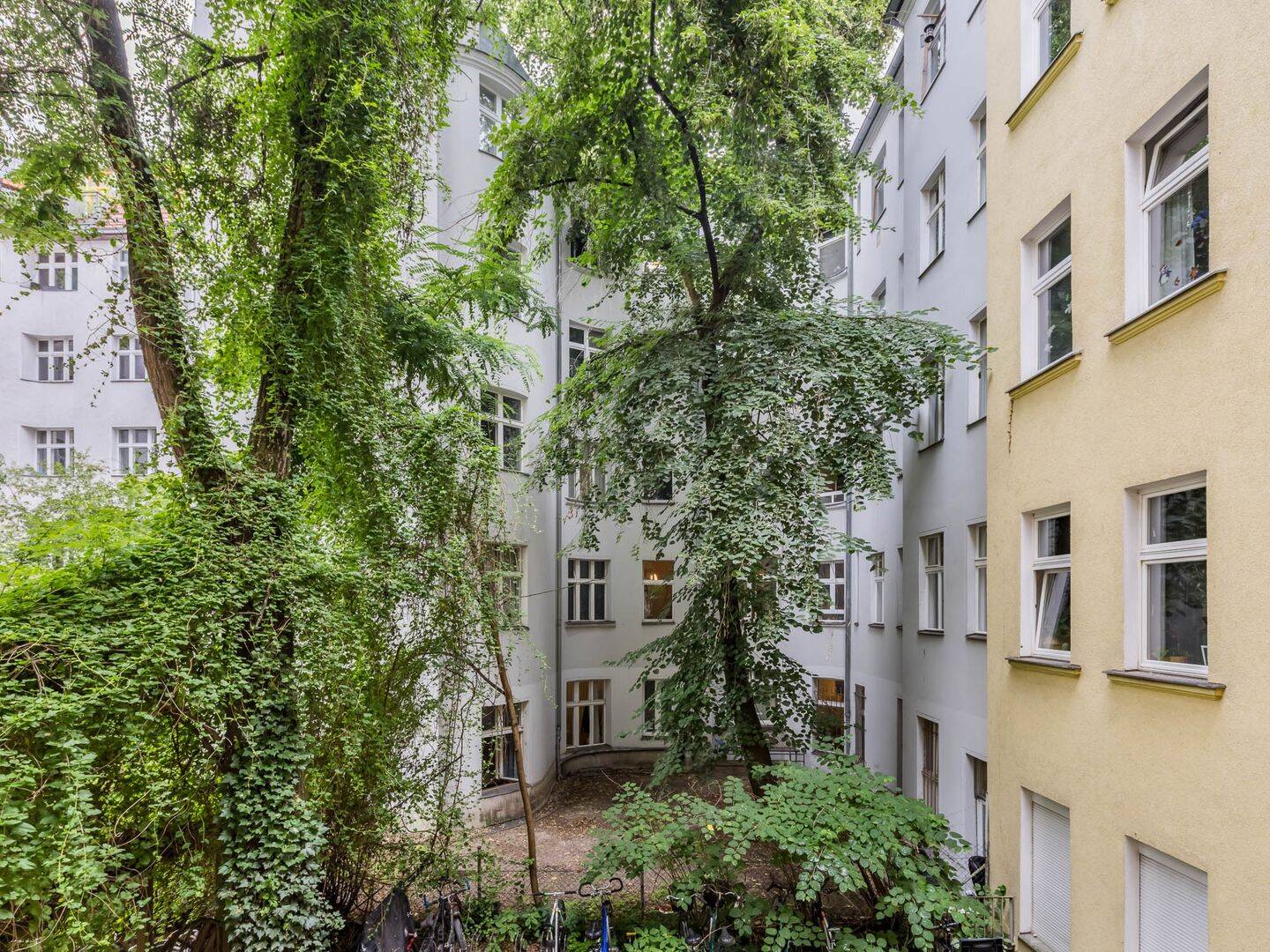 Charmante 1-Zimmer-Altbauwohnung nahe Boxhagener Platz – Berlin – Vorschaubild 6