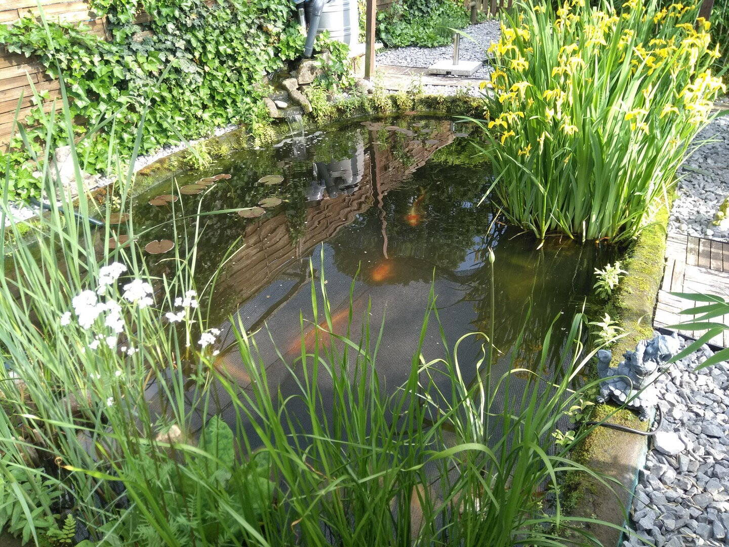 .großzügige Doppelhaushälfte mit Wintergarten & großem Garten in ruhiger Lage von Wülfrath – Wülfrath – Vorschaubild 4