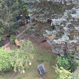 Bezugsfrei, attraktive 2-Zimmer-ETW in gepflegtem Altbau mit gemeinschaftlicher Gartennutzung – 13407 Berlin – Vorschaubild 2