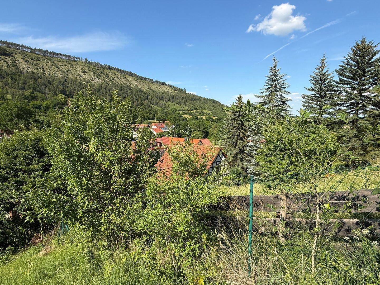 Traumhaft schönes Wochenendhaus auf einem Südhang-Grundstück in Jena-Leutra zum Verkauf – Jena – Vorschaubild 5