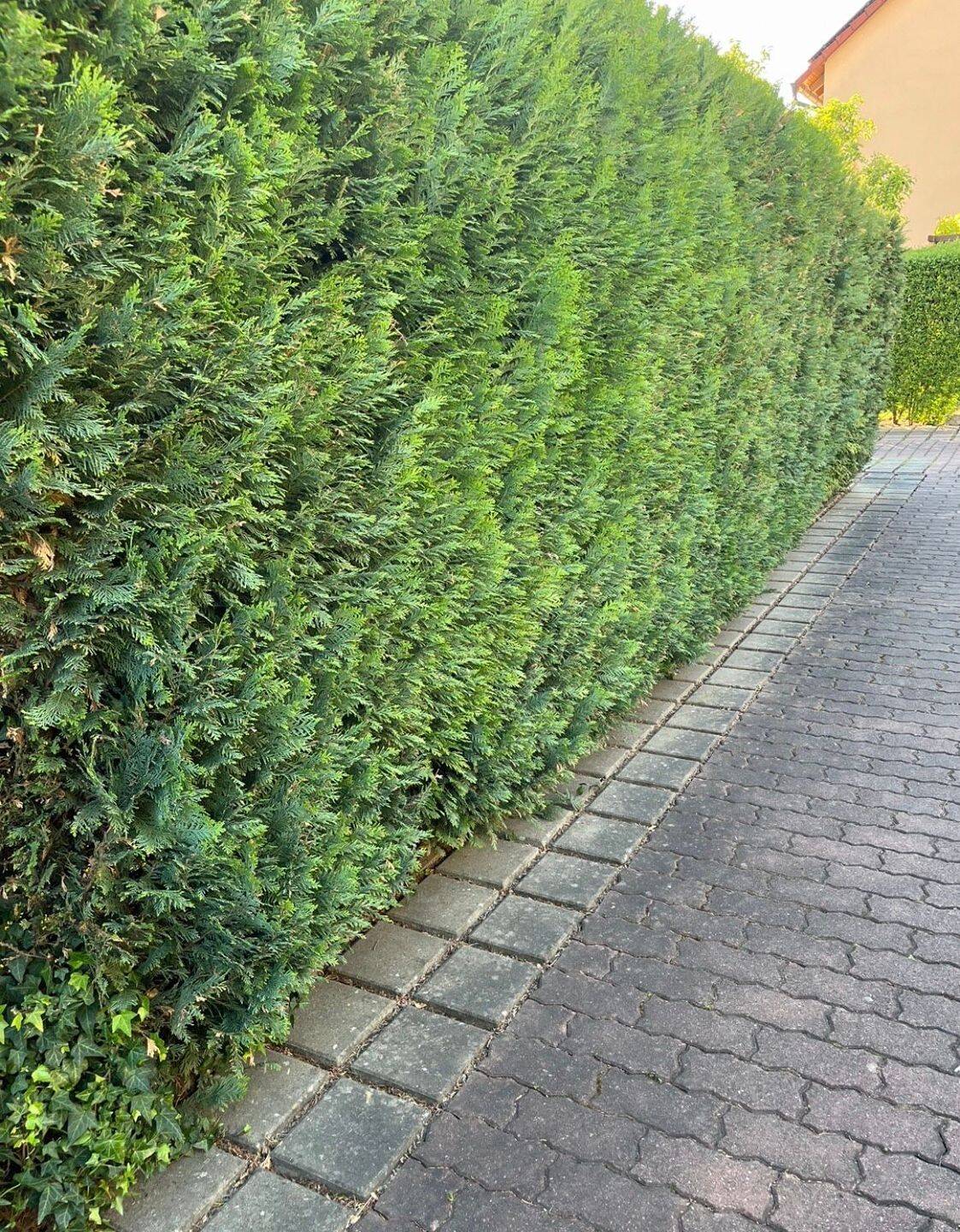 k.A. – Nürnberg – Vorschaubild 7