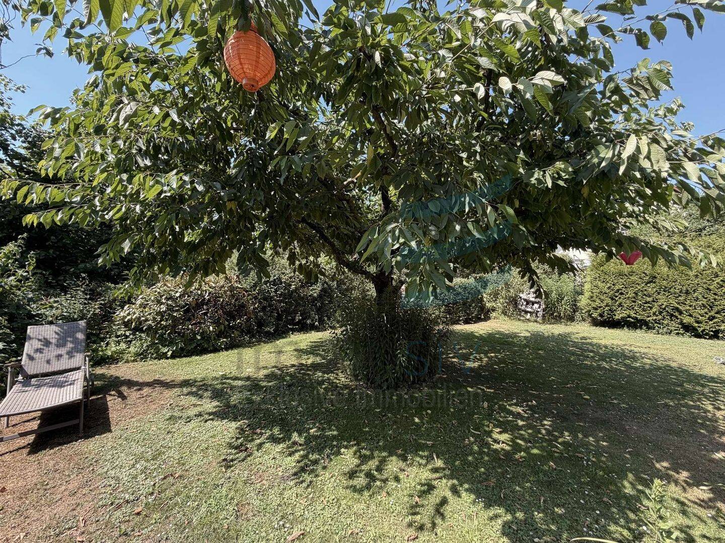 Bezugsfreie DHH mit schönem Garten im schönen Falkensee – Falkensee – Vorschaubild 8