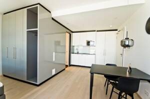 Modern möbliertes 1-Zimmer-Apartment – 70192 Stuttgart – Vorschaubild 4