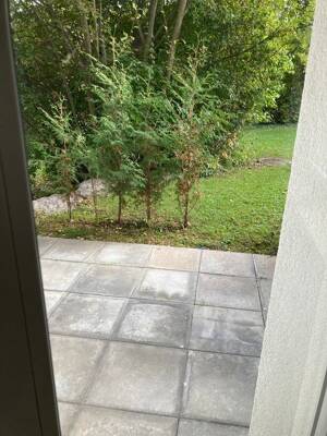 1-Zimmer-Single-Wohnung mit Terrasse und neuer Einbauküche – 89075 Ulm – Vorschaubild 5