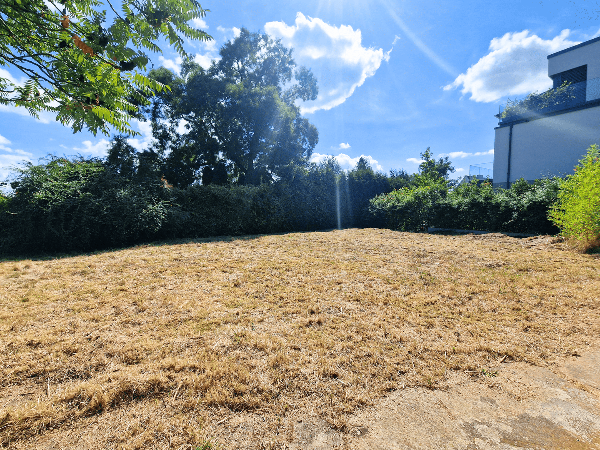 Haus in 55545 Bad Kreuznach mit 367,37 m² kaufen